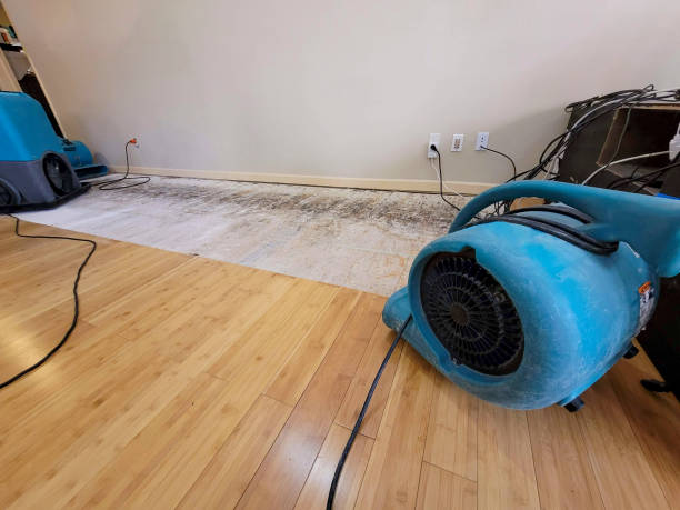 Professional Water Extraction technician working in Lexington, MA